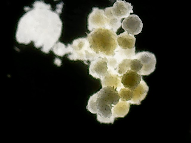 Para Professores e Educadores